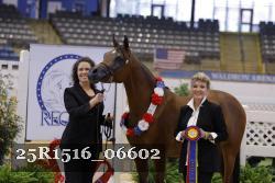 25R1516_06602 thumbnail