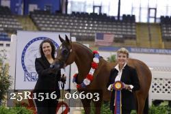 25R1516_06603 thumbnail