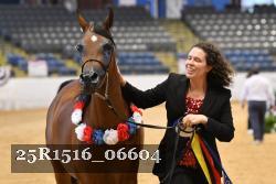25R1516_06604 thumbnail