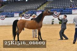 25R1516_06609 thumbnail