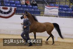 25R1516_06611 thumbnail