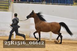 25R1516_06612 thumbnail