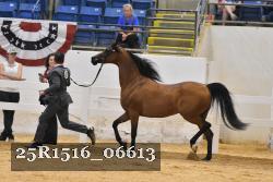 25R1516_06613 thumbnail