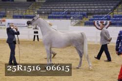 25R1516_06615 thumbnail