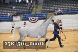 25R1516_06616 thumbnail