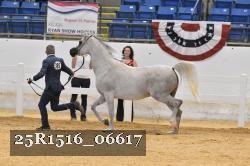 25R1516_06617 thumbnail