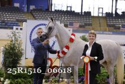 25R1516_06618 thumbnail