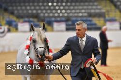 25R1516_06619 thumbnail