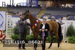 25R1516_06621 thumbnail