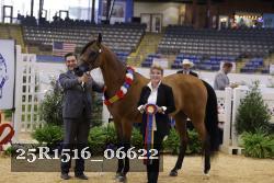 25R1516_06622 thumbnail