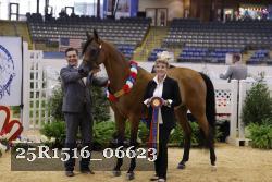 25R1516_06623 thumbnail
