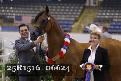 25R1516_06624 thumbnail
