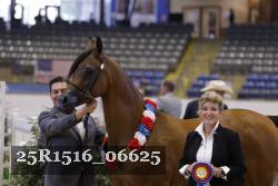 25R1516_06625 thumbnail