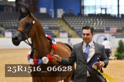 25R1516_06628 thumbnail
