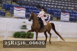 25R1516_06629 thumbnail