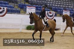 25R1516_06630 thumbnail