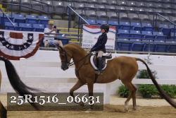 25R1516_06631 thumbnail