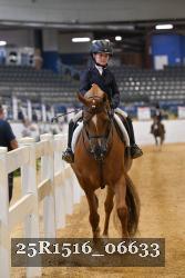 25R1516_06633 thumbnail