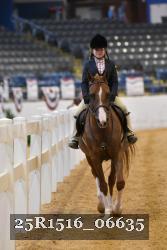 25R1516_06635 thumbnail