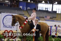 25R1516_06646 thumbnail