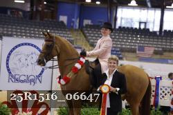 25R1516_06647 thumbnail