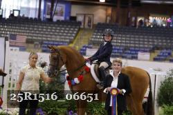 25R1516_06651 thumbnail