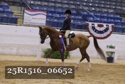 25R1516_06652 thumbnail