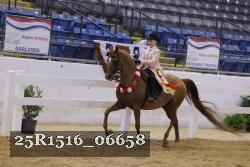25R1516_06658 thumbnail