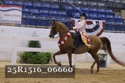 25R1516_06660 thumbnail