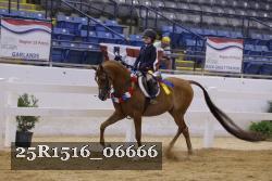 25R1516_06666 thumbnail