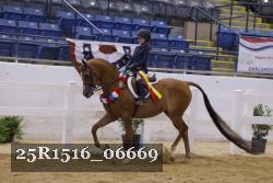 25R1516_06669 thumbnail