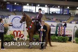25R1516_06677 thumbnail