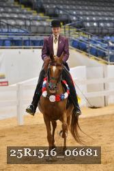 25R1516_06681 thumbnail