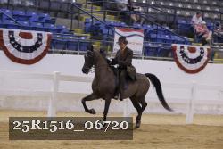 25R1516_06720 thumbnail