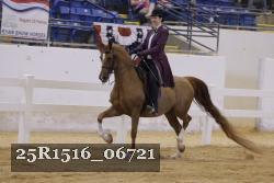 25R1516_06721 thumbnail