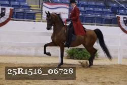 25R1516_06728 thumbnail