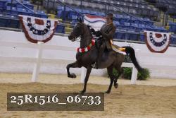 25R1516_06733 thumbnail