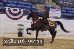 25R1516_06735 thumbnail