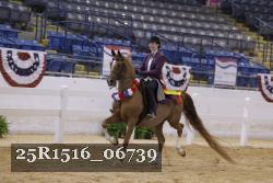 25R1516_06739 thumbnail