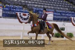 25R1516_06740 thumbnail