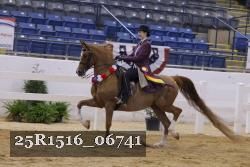 25R1516_06741 thumbnail