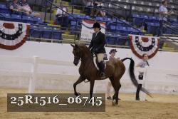 25R1516_06745 thumbnail