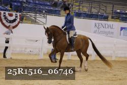 25R1516_06746 thumbnail
