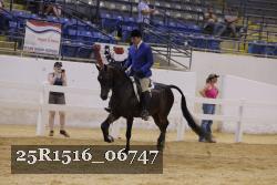 25R1516_06747 thumbnail
