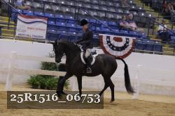 25R1516_06753 thumbnail
