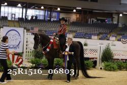 25R1516_06803 thumbnail