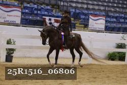 25R1516_06806 thumbnail