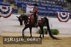25R1516_06817 thumbnail