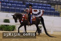 25R1516_06819 thumbnail