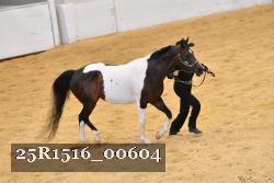 25R1516_00604 thumbnail